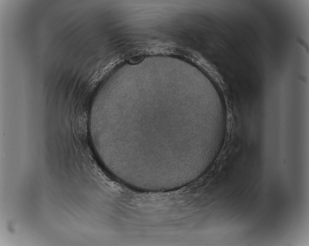 X0000100860009200807111304