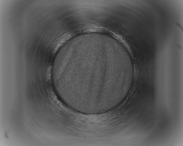 X0000100860010200807111304