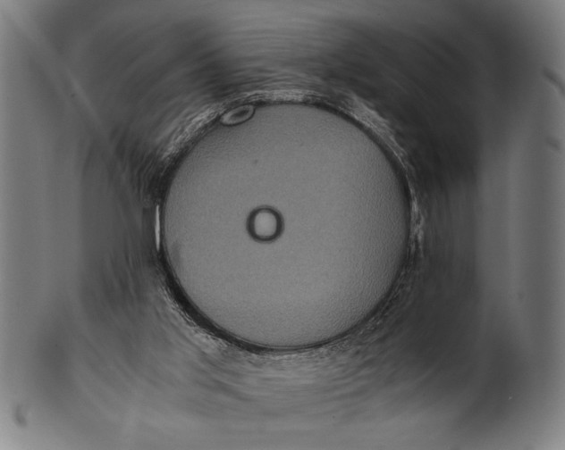 X0000100860013200807111304