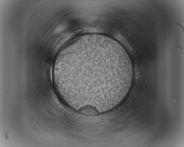 X0000100860014200807111304