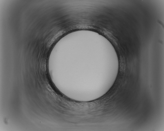 X0000100860015200807111304