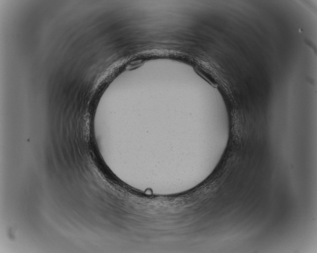 X0000100860016200807111304