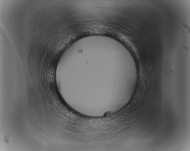 X0000100860017200807111304