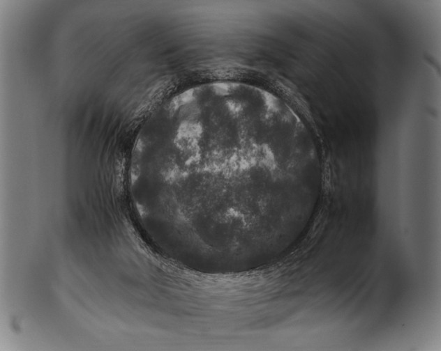 X0000100860018200807111304