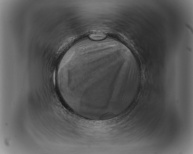 X0000100860019200807111304