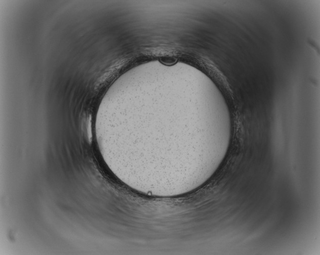 X0000100860020200807111304