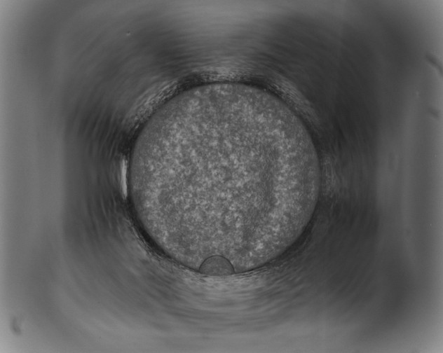 X0000100860022200807111304