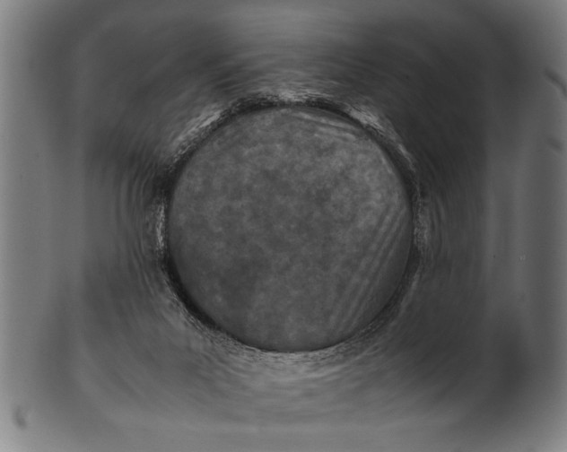 X0000100860023200807111304