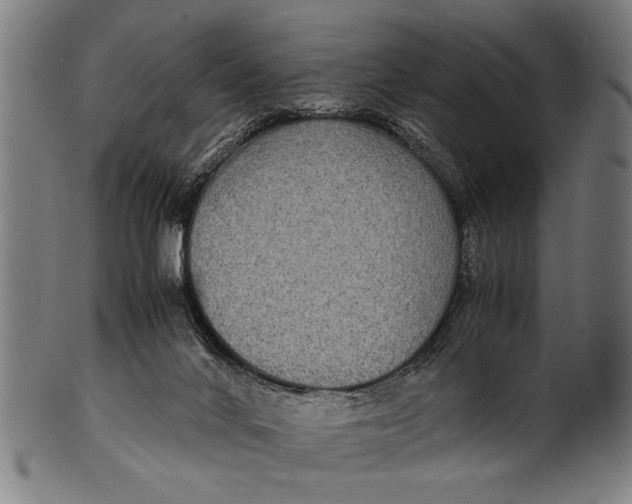 X0000100860024200807111304