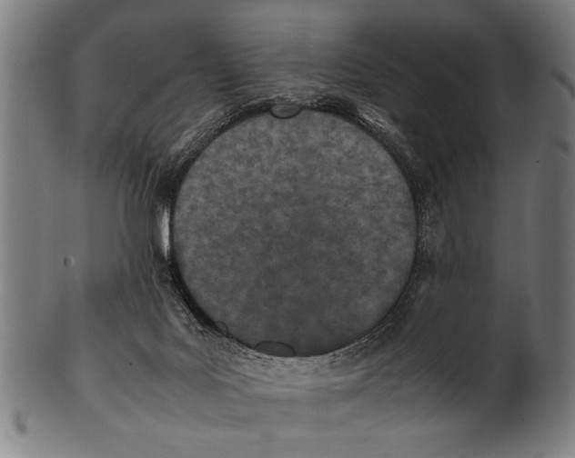 X0000100860027200807111304