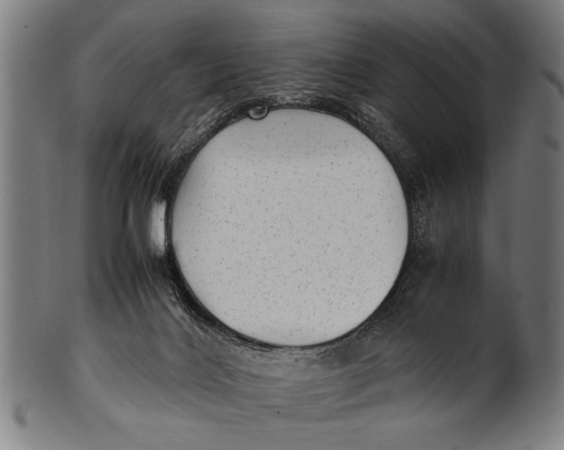 X0000100860028200807111304