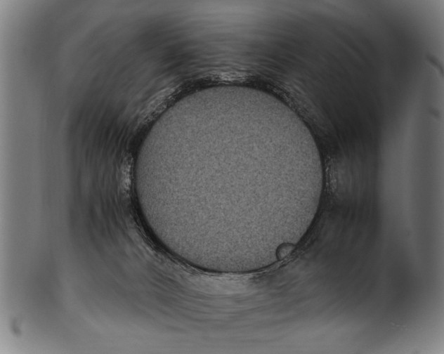 X0000100860032200807111304