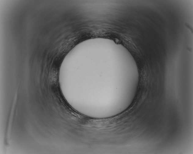 X0000100860033200807111304