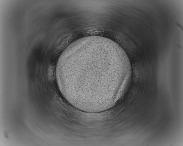 X0000100860034200807111304