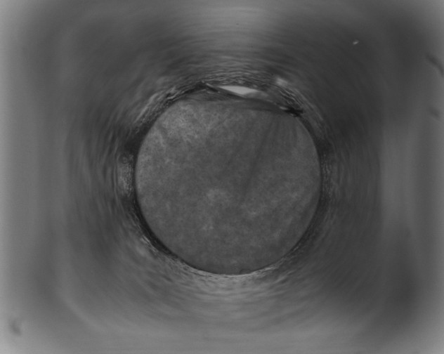 X0000100860035200807111304