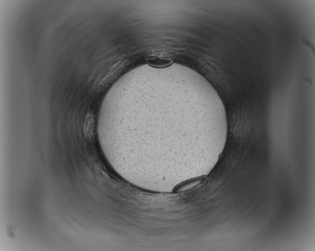 X0000100860036200807111304