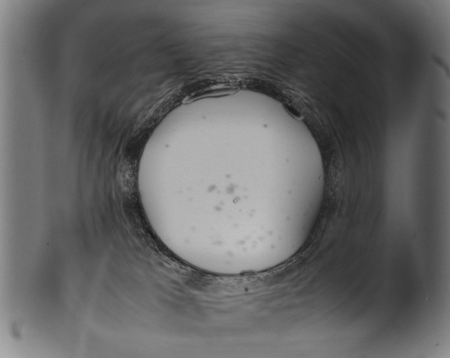 X0000100860037200807111304