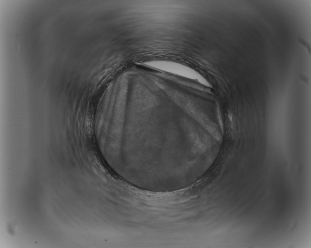 X0000100860039200807111304