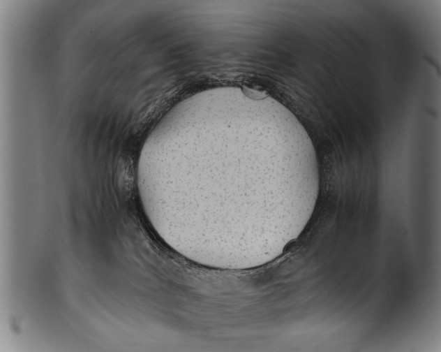 X0000100860040200807111304