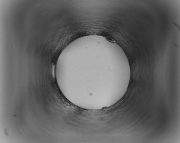 X0000100860041200807111304