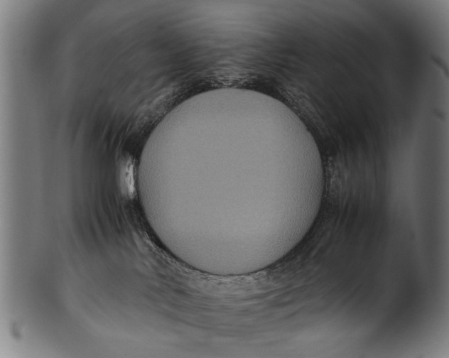 X0000100860042200807111304