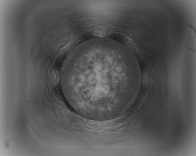 X0000100860043200807111304