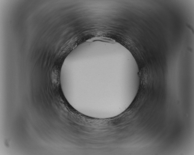 X0000100860044200807111304