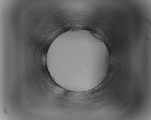 X0000100860045200807111304