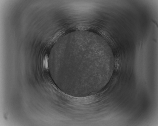 X0000100860046200807111304