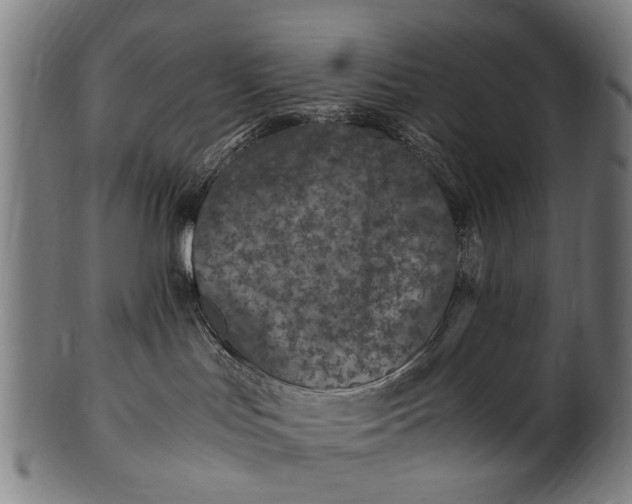 X0000100860047200807111304