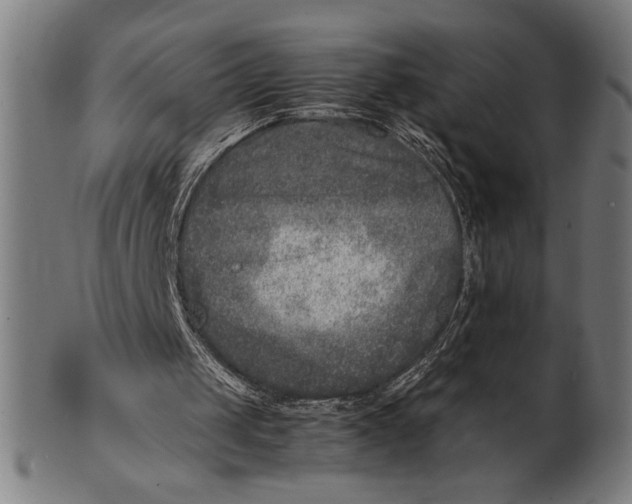 X0000100860049200807111303