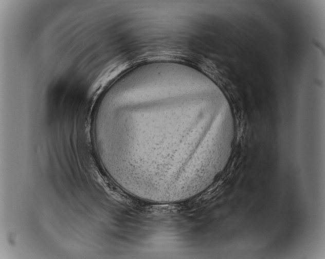 X0000100860050200807111303