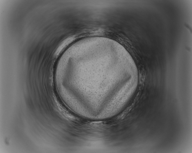 X0000100860054200807111303