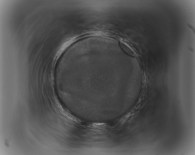 X0000100860055200807111303