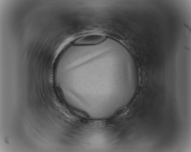 X0000100860056200807111303