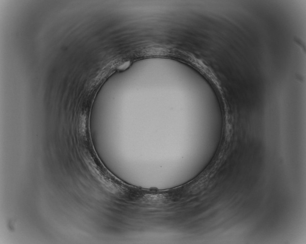 X0000100860057200807111303