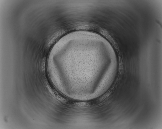 X0000100860058200807111303