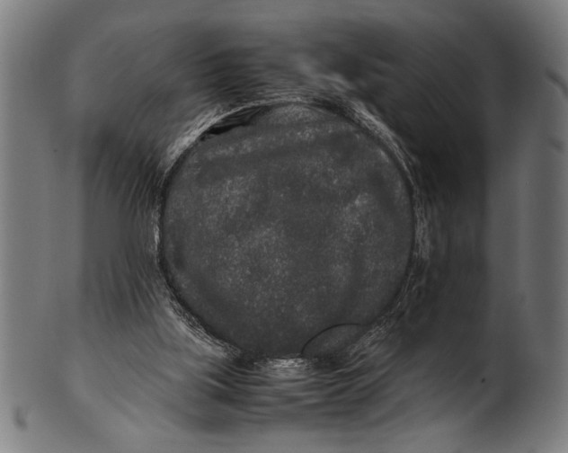 X0000100860059200807111303