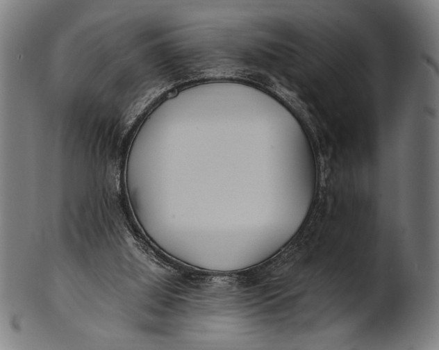 X0000100860060200807111303