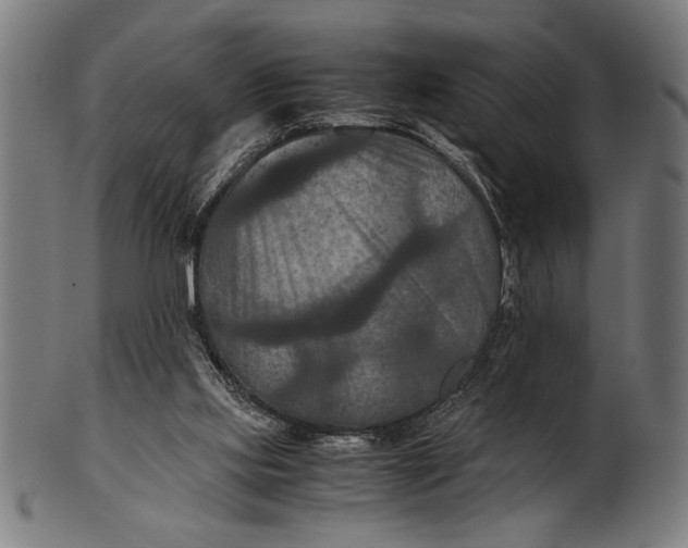 X0000100860061200807111303