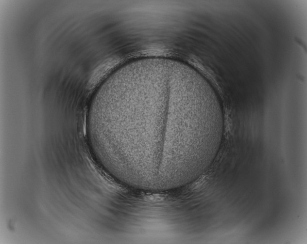 X0000100860062200807111303