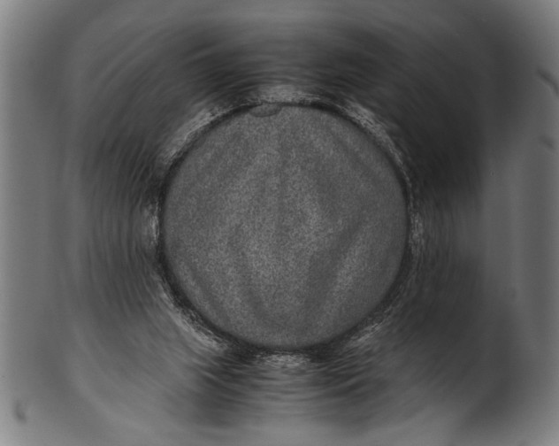 X0000100860063200807111303