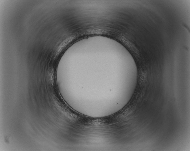 X0000100860064200807111303