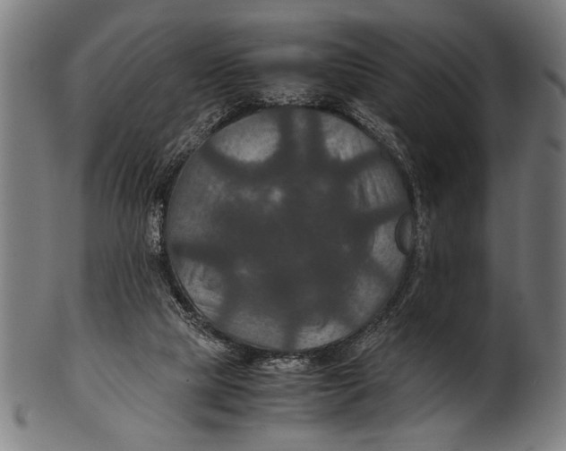 X0000100860065200807111303