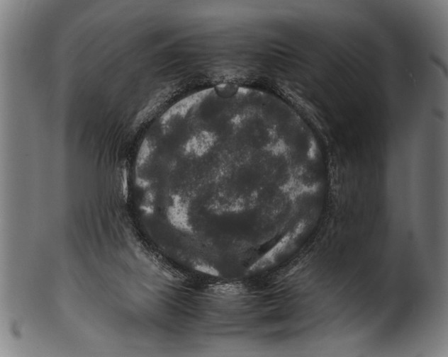 X0000100860067200807111303