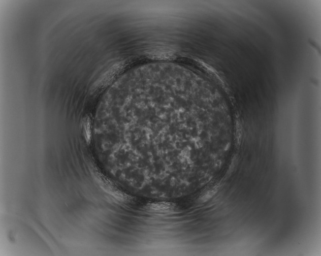 X0000100860069200807111303