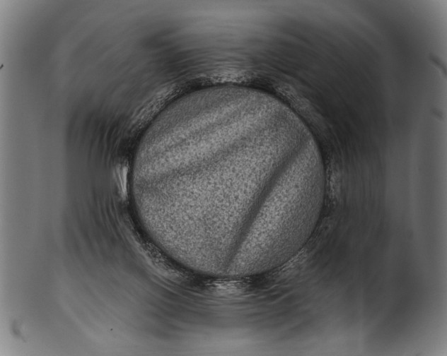 X0000100860070200807111303