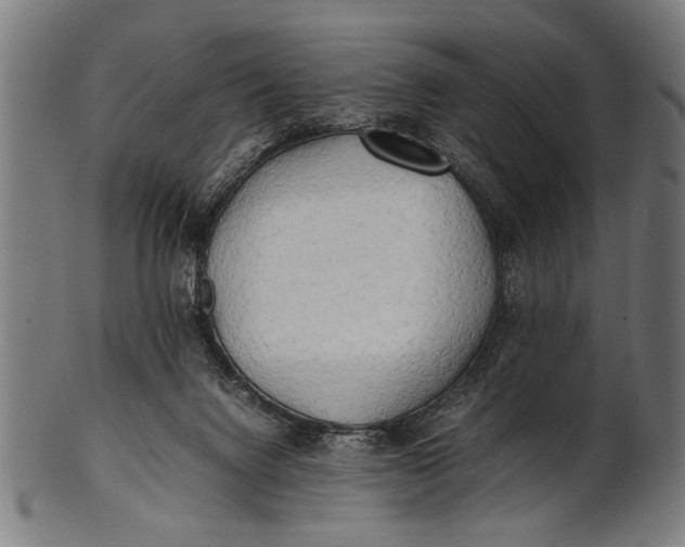 X0000100860072200807111303