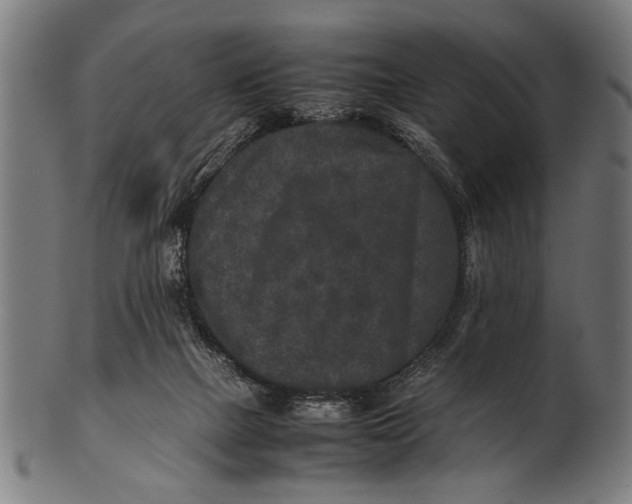 X0000100860073200807111303