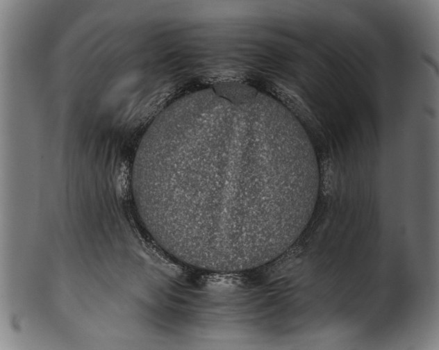 X0000100860077200807111303